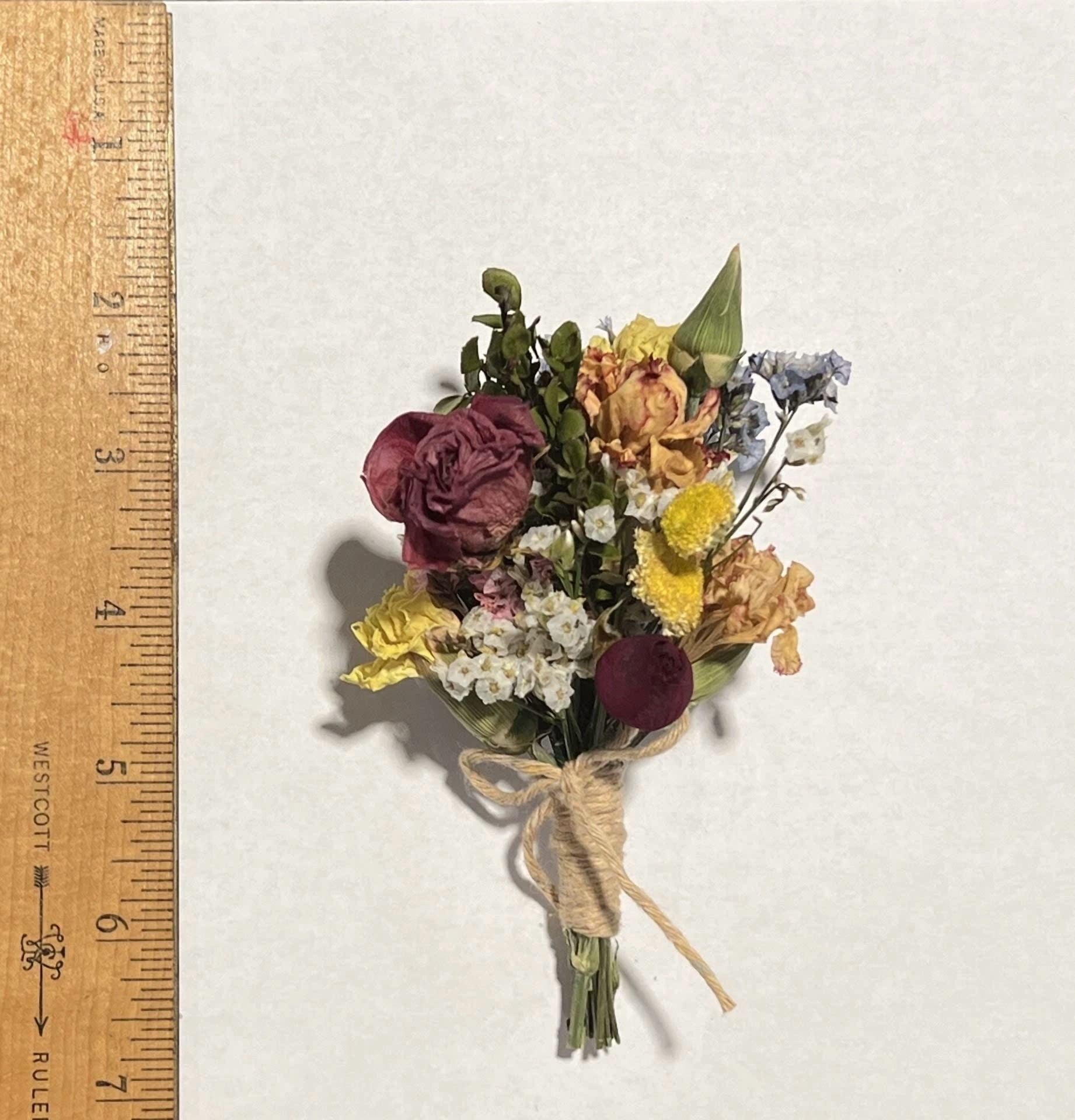 CIRCLE- Natural Dried Roses Flowers Floral Home Decor Crafting