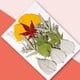 thumbnail image 4 of Monstrate Hoja seca natural DIY Arte hecho a mano Planta en relieve Hojas prensadas Decoración Hogar Decorativo para tarjetas de boda de hoja verde 9 20piezas, 4 of 6
