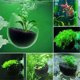 thumbnail image 2 of 16 Uds tazas para plantas acuáticas, maceta acrílica transparente para plantas acuáticas con succión, decoración de acuario 2, 2 of 5