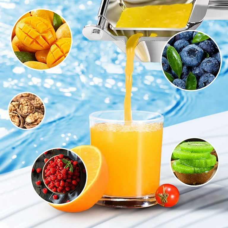 Fruit steamer juicer best sale