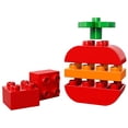 thumbnail image 1 of Lego Duplo ALIMENTO POLIBOLSADO 30068 LEGO LEGO, 1 of 2