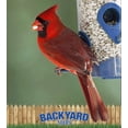 thumbnail image 4 of Bird Seed CountryMax Backyard Safflower 22.5kg Bulk, 4 of 5