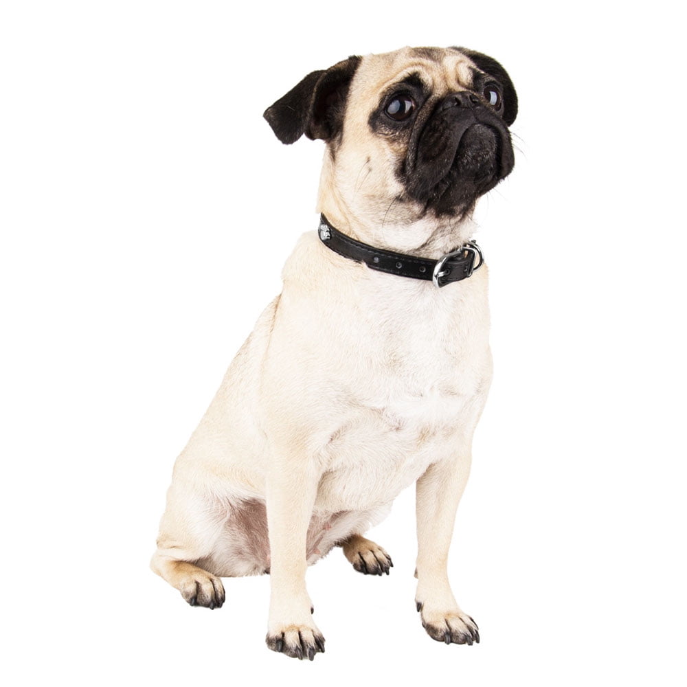 2 Pack of Classic Pet Comfy Adjustable Paw Dog Collar