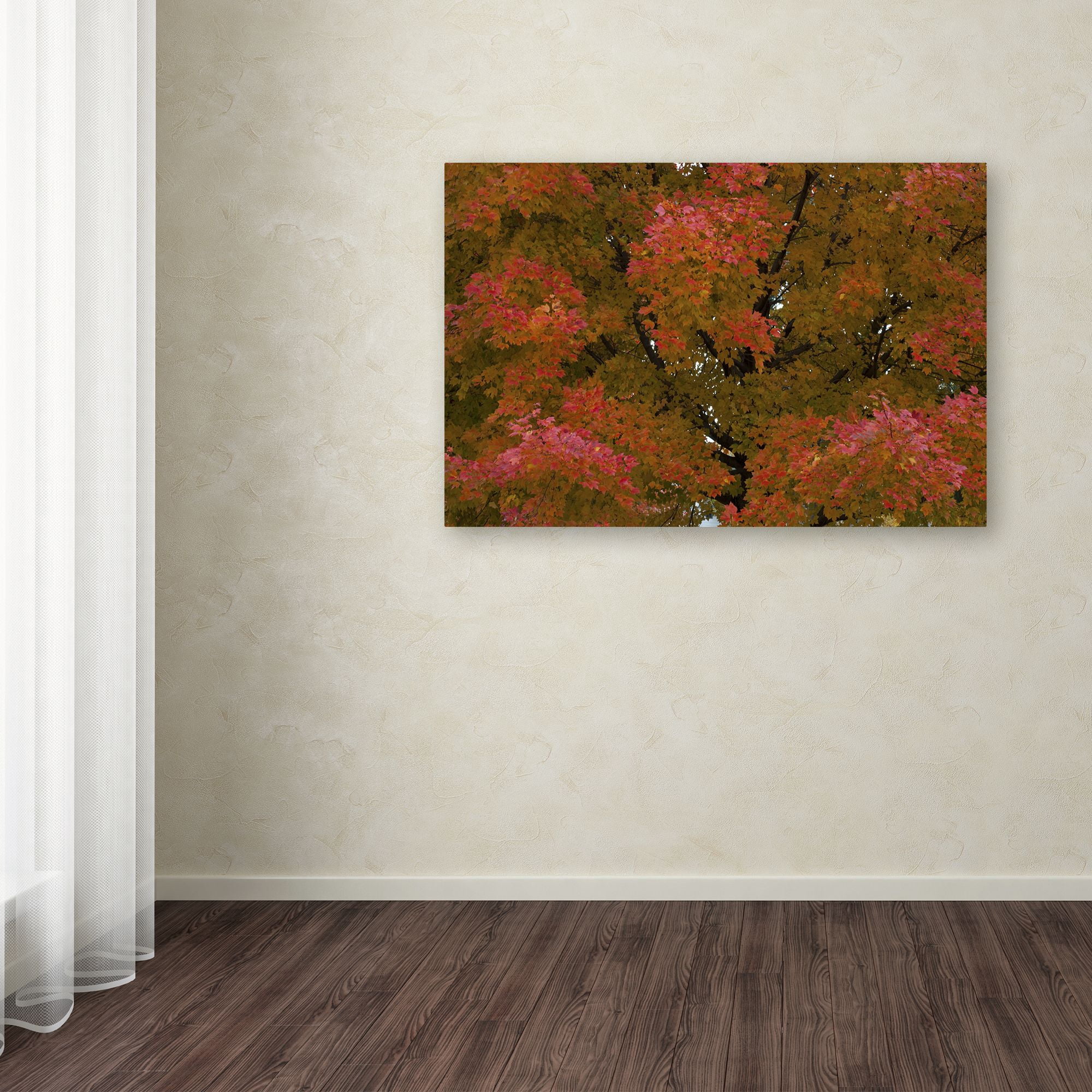 Trademark Fine Art "Autumn Maple Splendor" Canvas Art by Kurt Shaffer