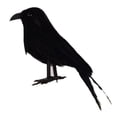 thumbnail image 1 of Espuma Cuervos de Halloween Pájaros Adornos de cuervos con plumas artificiales Decoración del árbol del jardín para hogar, Negro, 1 of 9