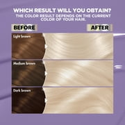 Garnier Nutrisse Nourishing Hair Color Creme, PL2 Mascarpone