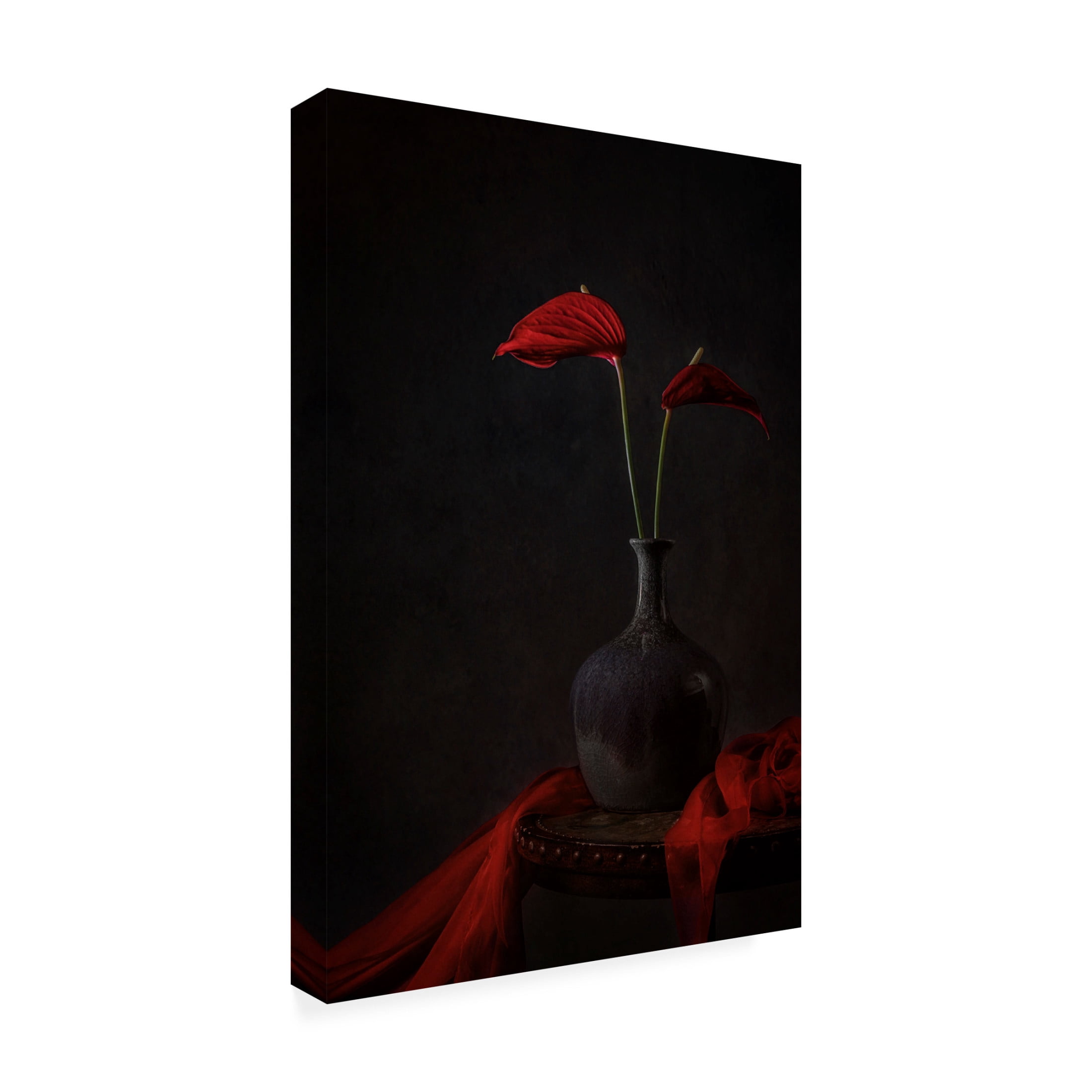 Canvas Wall Art - Lydia Jacobs 'Tropical Anthurium' Wall Art for Living Room, Bedroom, or Office Décor by Trademark Fine Art - 12 x 19 Inches