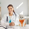 Cat Recovery Suit Kitten Onesie for Cats After Surgery, Cone of Shame