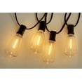 thumbnail image 5 of High Voltage Light String ST38LED Warm Glass Bulb Outdoor Waterproof Ambiance Decoration, 5 of 6