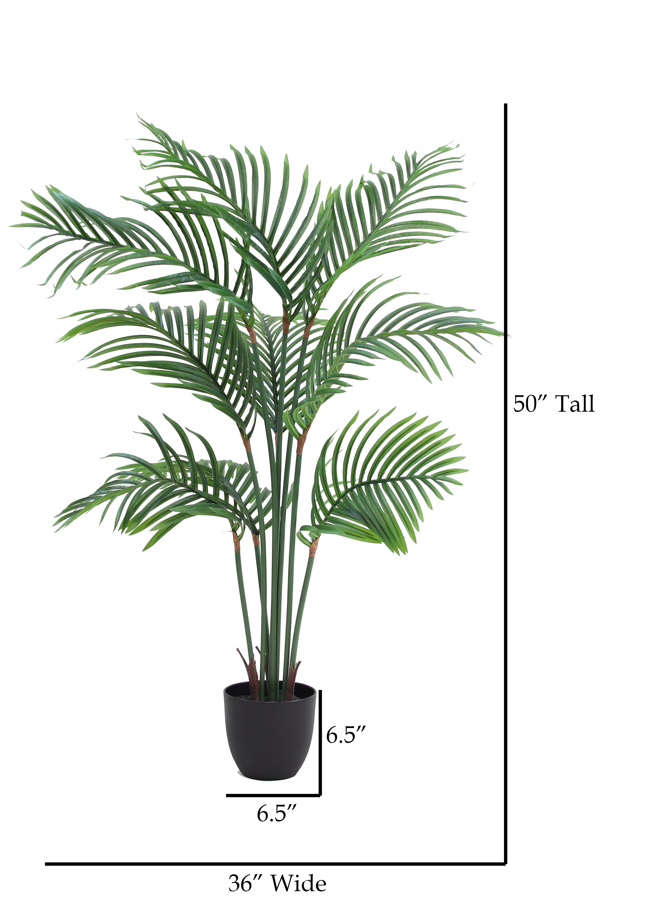 The Mod Greenhouse 50" Artificial Green Palm Tree in a 6.5" Black Matte Contemporary Pot (9 Leaf)