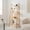 Beige, variant on Demi Bonn 4-Tier Bamboo Ladder Bookshelf, 58" Bamboo Bookcase Storage Stand Rack, Beige