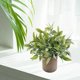 thumbnail image 5 of Mini plantas en maceta de pulpa gris, vegetación de plástico sintético, pequeños bonsáis artificiales Sale de, 5 of 9