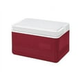 thumbnail image 2 of Igloo 5 Qt Legend Thermocooler with Carrying Handle, Red & White, 2 of 2