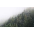 thumbnail image 3 of Brooks, Kari 18x12 Black Modern Framed Museum Art Print Titled - Alaska Green Trees II, 3 of 5