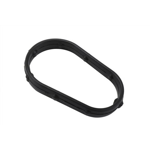 Engine Oil Cooler Seal