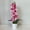T, variant on A potted Phalaenopsis potted plant and 7 spring and summer simulated orchid potted plants, suitable for holiday decorations, home weddings, and Valentine's Day shooting props, no batteries required