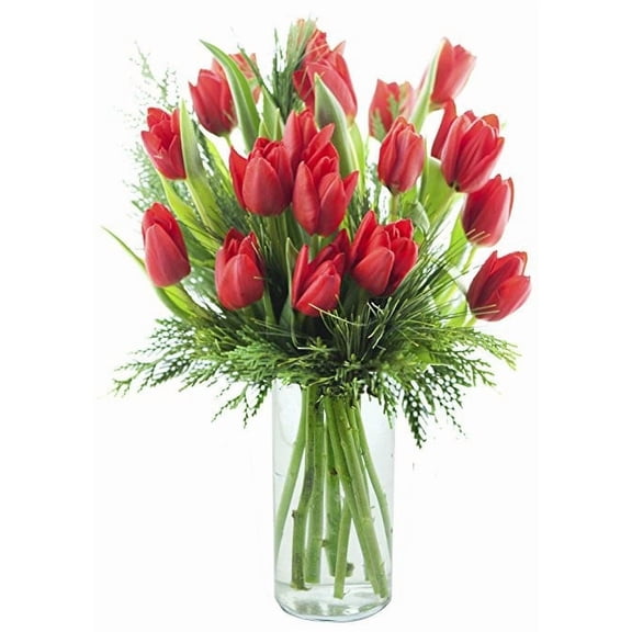 KaBloom : Bouquet of Fresh 10 Red Tulips, Greens with Vase, Next-Day Delivery, Gift for all occasion