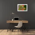 thumbnail image 3 of Ditto, Larry 24x17 White Modern Wood Framed Museum Art Print Titled - Ruby-throated Hummingbird-Archilochus colubris-hovering, 3 of 4