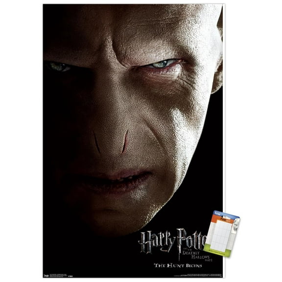 Harry Potter and the Deathly Hallows: Part 1 - Voldemort One Sheet Wall Poster, 22.375" x 34"