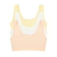 thumbnail image 1 of Felina | Organic Cotton Bralette 3 Pack | Super Soft & From Plant-Based Dyes (Tuscan Sun, X-Large), 1 of 3