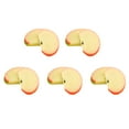 thumbnail image 1 of ZheElen 5x Long-lasting Fruits Section For Prop PVC High Simulation Fruit Slice Model Etc 29, 1 of 6