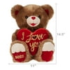 Way To Celebrate Valentine's Day Sweetheart Teddy Plush, 2021