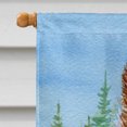 thumbnail image 3 of Carolines Treasures SS8320CHF Toile Drapeau à Collets Barbus - Taille de la Maison, 3 of 4