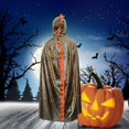thumbnail image 3 of 1 disfraz con capucha para niños para decoraciones de Halloween., 3 of 3