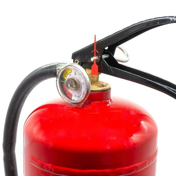 HOMEMAXS 100PCS Fire Extinguisher Self Locking Ties for Secure Label Tags Marker Tie Identification Safety Tag Tamper Seal