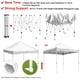 thumbnail image 4 of Instahibit 10x10 ft Pop Up Canopy Tent Commercial Instant Shelter Trade Fair Outdoor Market InstaHibit Modern, 4 of 11