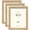 Oak-8x10-3 pack, variant on Oak 16x24 3 Pack Picture Frames, Wide Border Wood Frames for Photos Posters Artwork