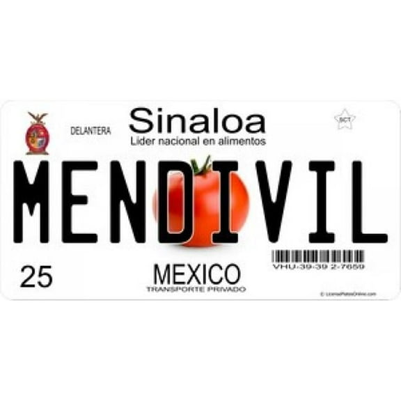 212 Main LPO909 Mexico Sinaloa Photo License Plate