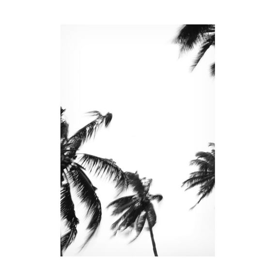 Trademark Fine Art Shot by Clint Coco Island No4 Canvas Wall Art