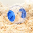 thumbnail image 4 of Zshan 1pcs Golden bear running ball toy, 4 of 5