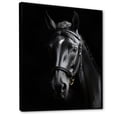 thumbnail image 2 of Designart "Black And White Horse gracefulness" Animals Floater Framed Canvas Art Print, 2 of 7