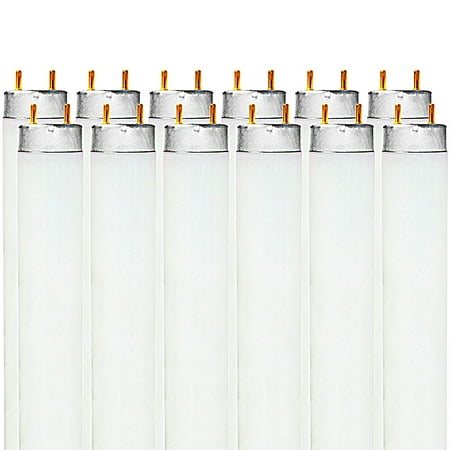 

Luxrite F32T8/850 32W 48 Inch T8 Fluorescent Tube Light Bulb 5000K Bright White 2800 Lumens G13 Medium Bi-Pin Base LR20734 12-Pack