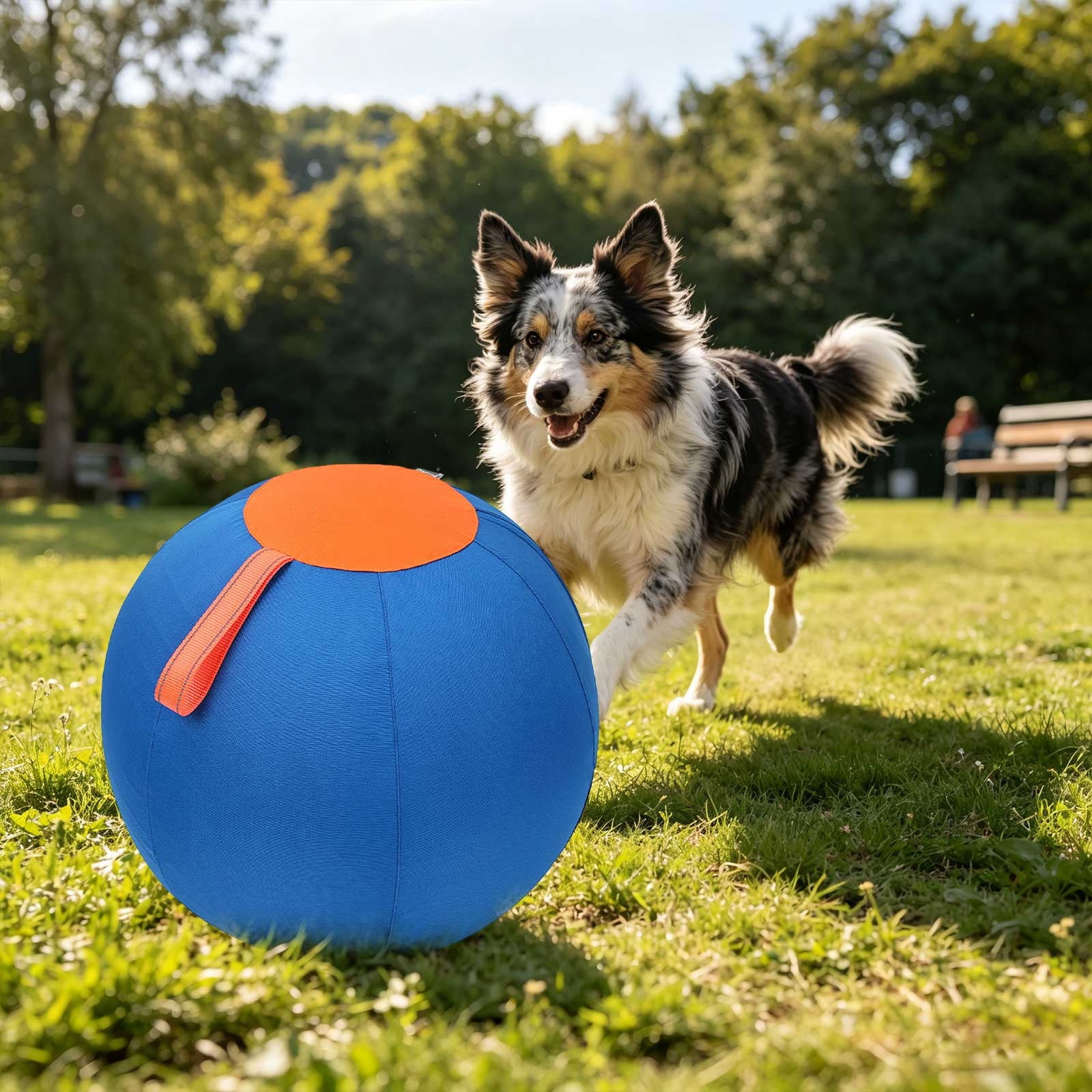 Dog Balls For Large Dogs – Extra Large Enrichment Ball, Tear-Resistant with Protective Cover & Air Pump, Available in Three Sizes for All Dogs