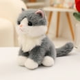 thumbnail image 5 of Black Cat Plush Doll-Realistic Stuffed Kitten Plush Toy Cute Soft Cat Surprise Pillow Birthday Gift, 5 of 7