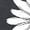 #01 Dark Gray, variant on Women Long Sleeve Sweatshirts Crewneck Daisy Flower Graphic Tops Casual Loose Pullover Shirts Oversized Y2K Clothes
