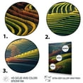 thumbnail image 3 of Designart "Dynamic Views of the Vineyard III" Landscape & Nature Canvas Art Print, 3 of 5