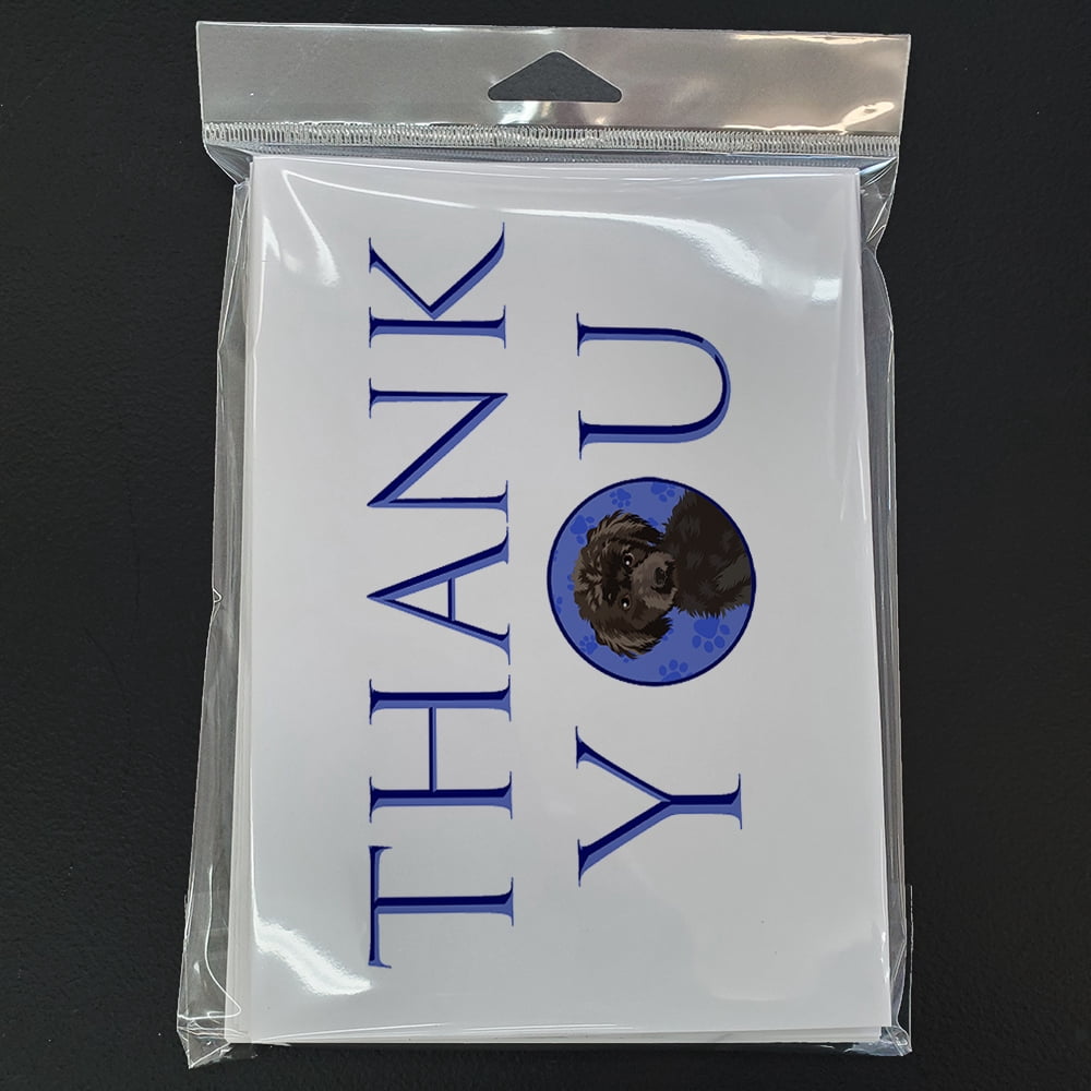 Poodle Toy Brown Thank You Greeting Cards and Envelopes Pack of 8 7 in x 5 in