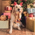 thumbnail image 6 of CuiLiyq Christmas Dog Toys, Plush Stuffed Animals Toys for Aggressive Chewers, Cute Squeak Toys for Large Medium Small Dogs, Interactive Dog Chew Toys, 6 of 6