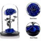 thumbnail image 2 of 2025 Preserved Real Rose Eternal Rose In Glass Dome Gift For Her Thanksgiving Christmas Valentine's Day Birthday Mother's Day (red)bebetter, 2 of 4