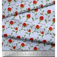 thumbnail image 3 of Soimoi Velvet Fabric Leaves & Strawberry Fruits Fabric Prints By Yard 58 Inch Wide, 3 of 3