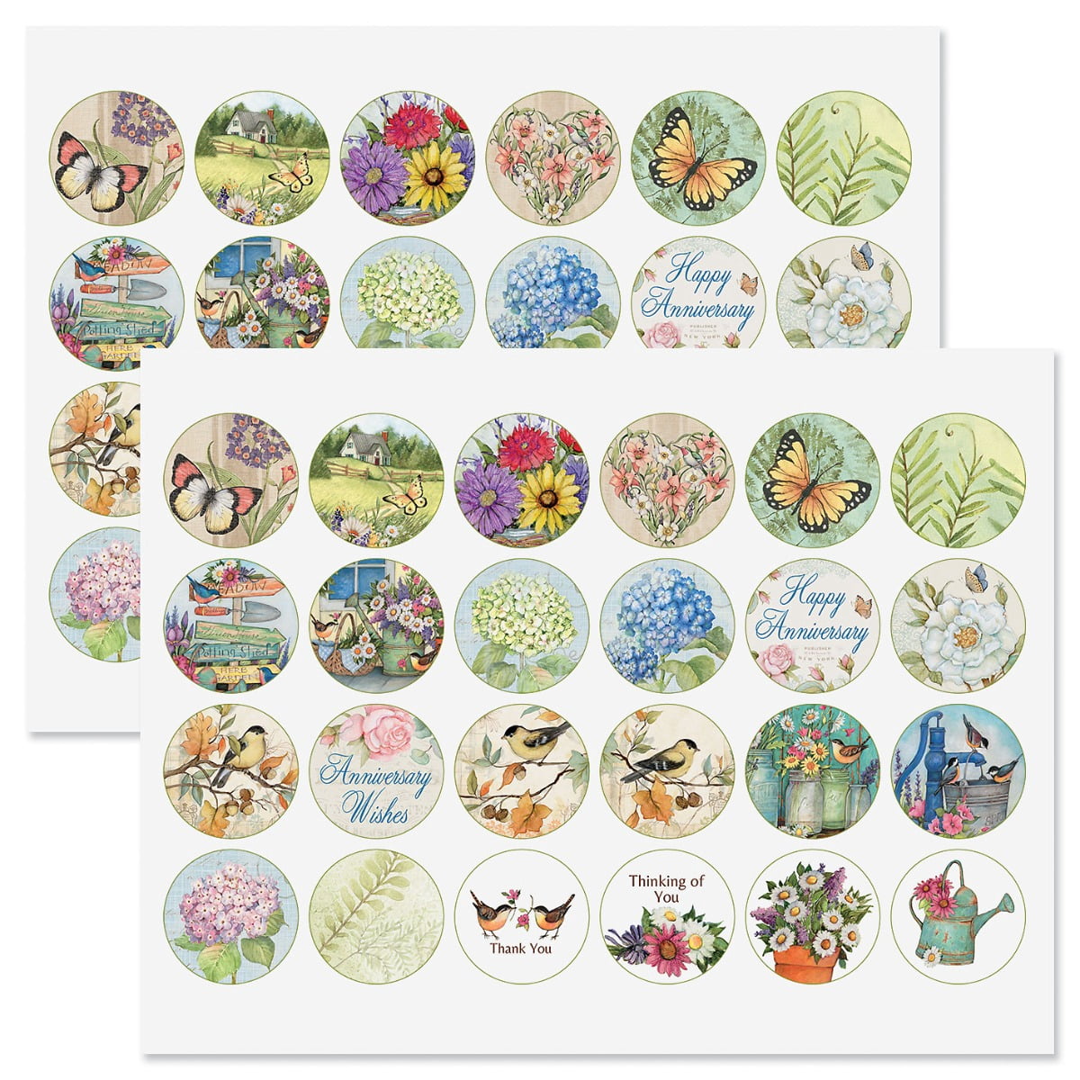 Susan Winget Studio All Occasion Greeting Card Pack with Seals - Set of 40,  5" x 7"