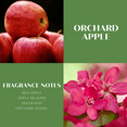 thumbnail image 5 of Scentworx 14.5 oz Orchard Apple 3-Wick Jar Candle by Slatkin & Co, 5 of 6