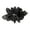 Black, variant on Eoperou Non-Slip Exquisite Craftsmanship Spring Hairpin Big Flower Decor Girl Hair Clip Hair Accessories