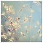 Trademark Fine Art "Little Secrets" Canvas Art by Beata Czyzowska