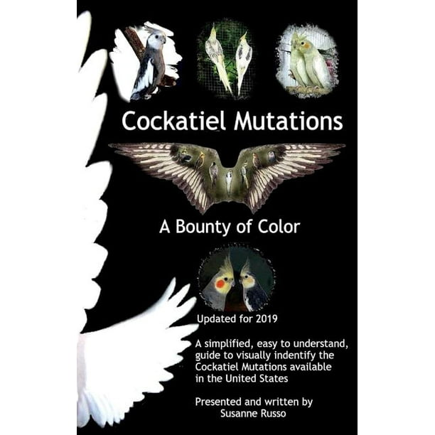 Cockatiel Mutations Volume 1 A Bounty Of Color Paperback Walmart Com Cockatiel Mutations Volume 1 A Bounty Of Color Paperback Walmart Com