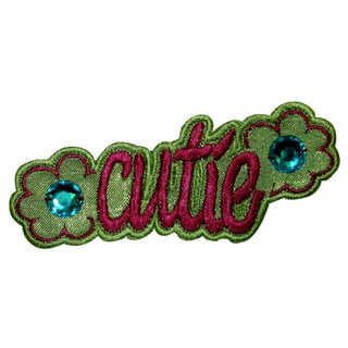 Sara Lee NEW EMBROIDERED IRON ON NAME PATCHES